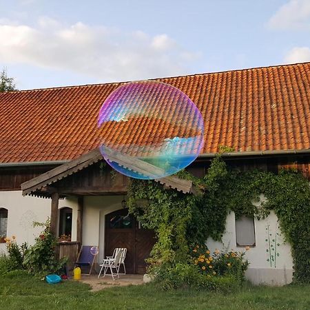 Jablkowo-Na Skraju Puszczy Boreckiej Sniadania W Cenie Jablonowo Exteriér fotografie