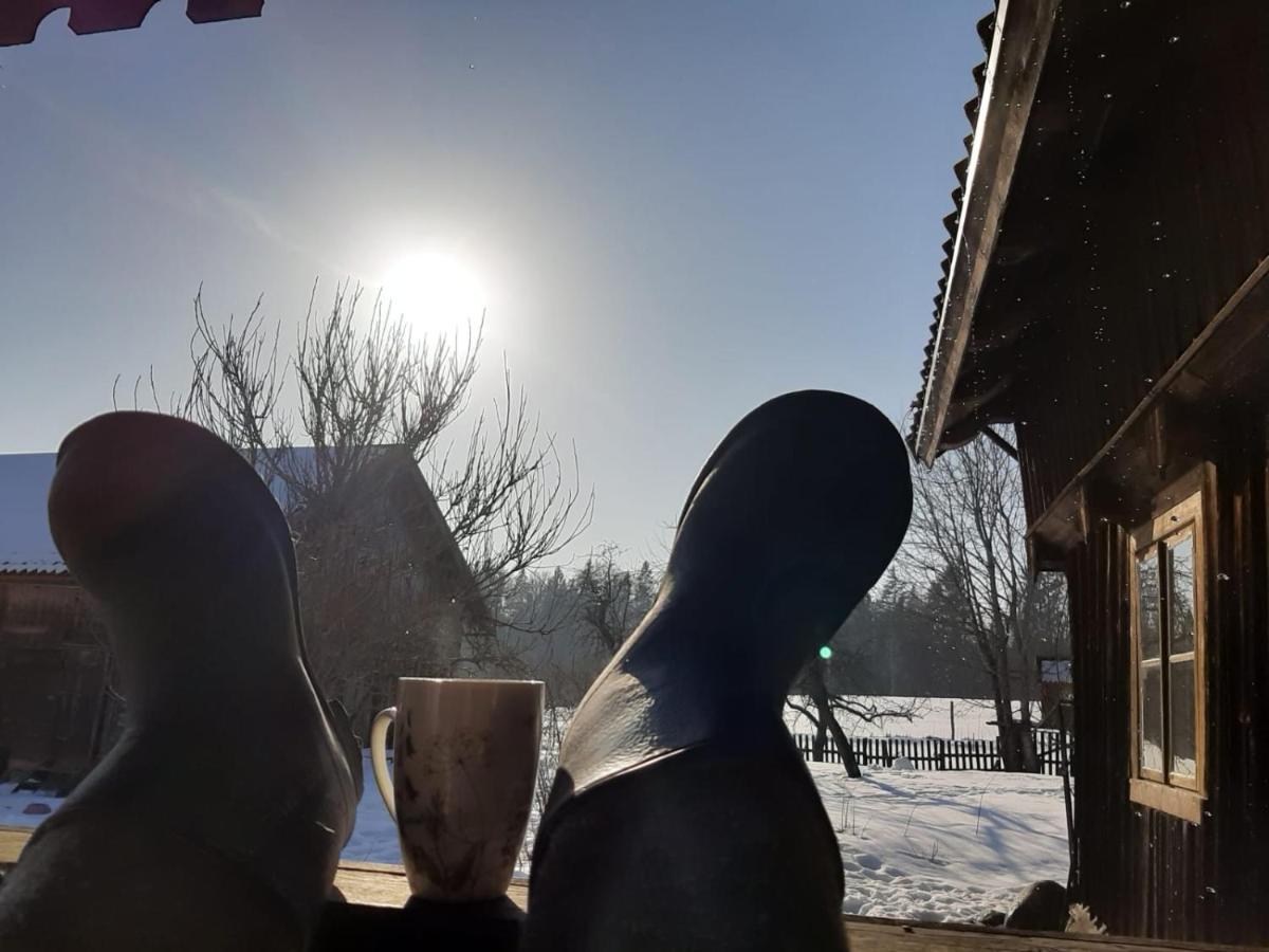 Jablkowo-Na Skraju Puszczy Boreckiej Sniadania W Cenie Jablonowo Exteriér fotografie