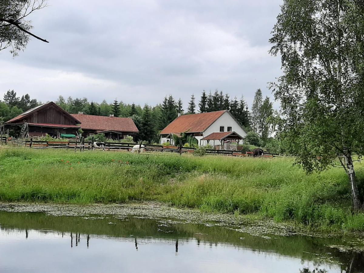 Jablkowo-Na Skraju Puszczy Boreckiej Sniadania W Cenie Jablonowo Exteriér fotografie