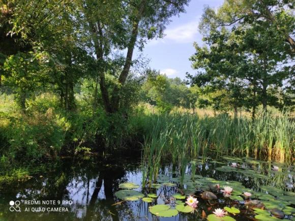 Jablkowo-Na Skraju Puszczy Boreckiej Sniadania W Cenie Jablonowo Exteriér fotografie