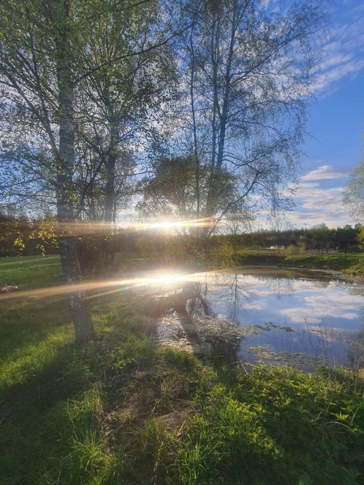 Jablkowo-Na Skraju Puszczy Boreckiej Sniadania W Cenie Jablonowo Exteriér fotografie