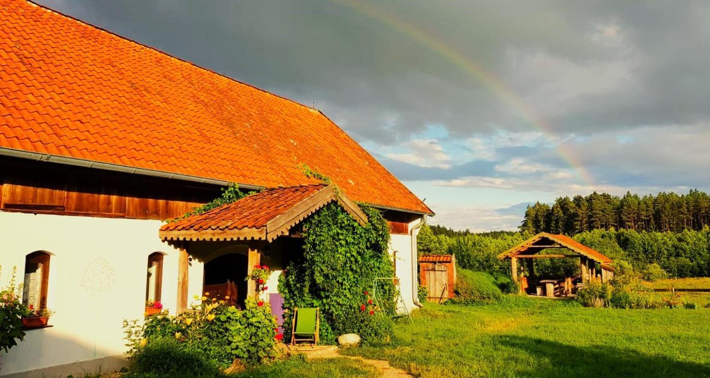 Jablkowo-Na Skraju Puszczy Boreckiej Sniadania W Cenie Jablonowo Exteriér fotografie