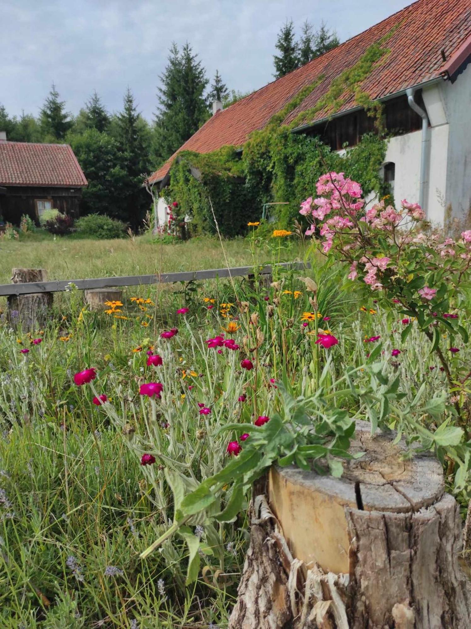 Jablkowo-Na Skraju Puszczy Boreckiej Sniadania W Cenie Jablonowo Exteriér fotografie