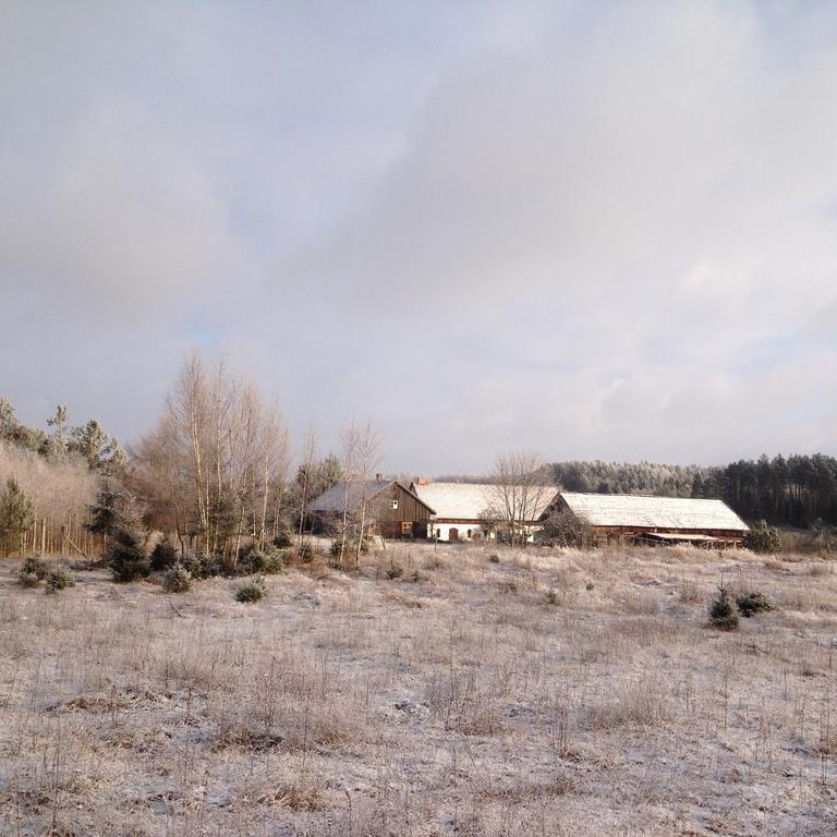Jablkowo-Na Skraju Puszczy Boreckiej Sniadania W Cenie Jablonowo Exteriér fotografie