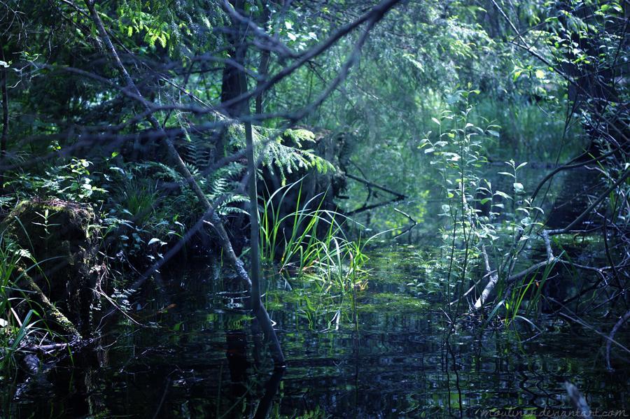Jablkowo-Na Skraju Puszczy Boreckiej Sniadania W Cenie Jablonowo Exteriér fotografie