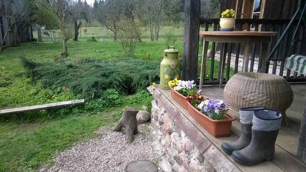 Jablkowo-Na Skraju Puszczy Boreckiej Sniadania W Cenie Jablonowo Exteriér fotografie